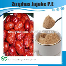 Wasserlösliche Pure Natural Semen Ziziphi Spinosae Extrakt / Ziziphus Jujube PE